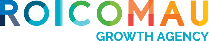 LOGO ROI Growth Agency for White BG